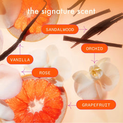 blowout babe protect, smooth + extend set